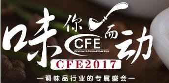 2017第十三屆中國國際調(diào)味品及食品配料博覽會(huì)